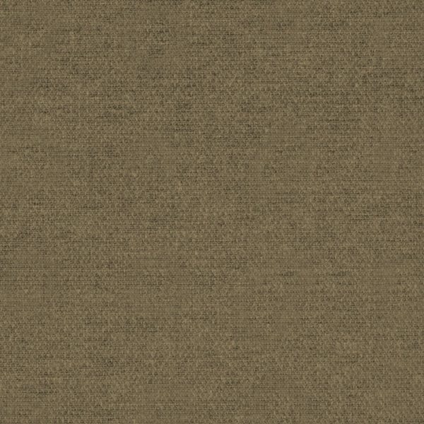 T11 - Nicotiana Rustic